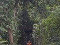 Tn DSC 4325